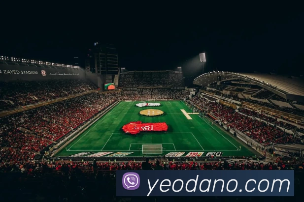 登录器